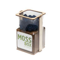 Набор с живым мхом MossBox Fire Blue Cube - Набор с живым мхом MossBox Fire Blue Cube