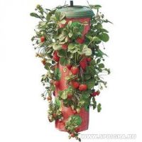 Плантатор Клубники Topsy Turvy Strawberry Planter