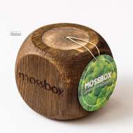 Набор с живым мхом MossBox Fire Green Dice - Набор с живым мхом MossBox Fire Green Dice